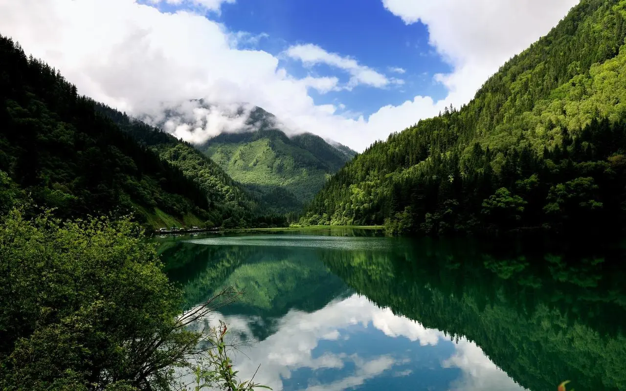 高标准高标准